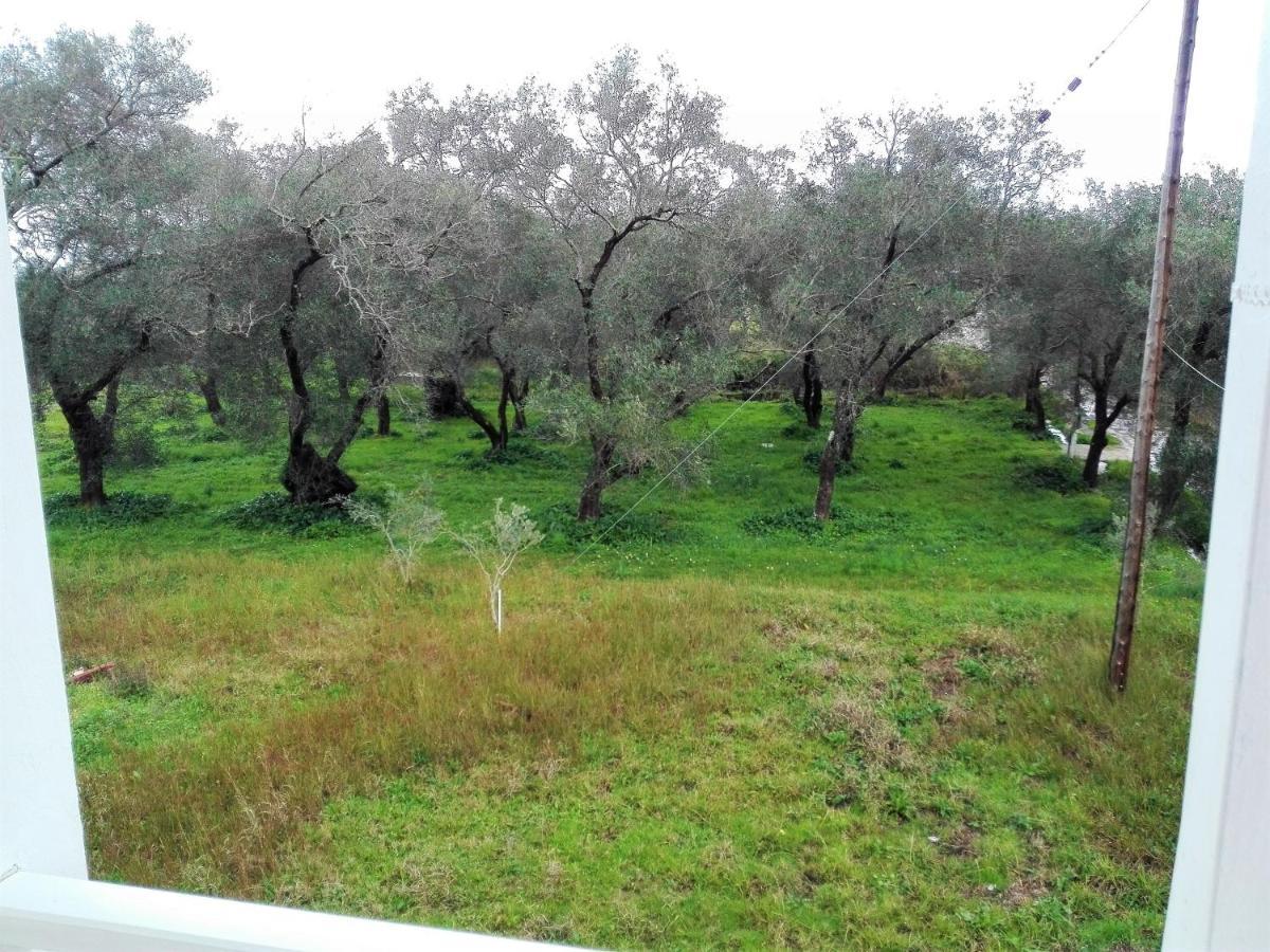 Katerina'S Home Μωραΐτικα Εξωτερικό φωτογραφία